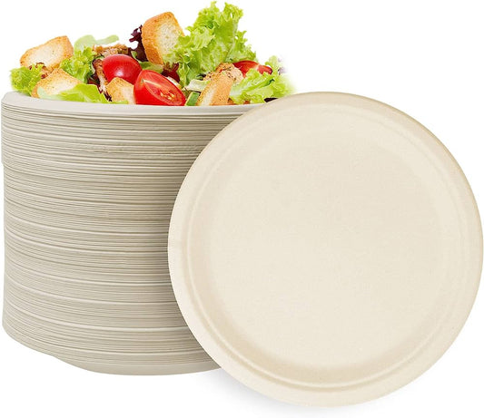 Paper Plates - 9 Heavy-Duty, White - 500pk