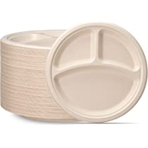 10"" Bagasse Round Plate - 3 Compartments 500/CS
