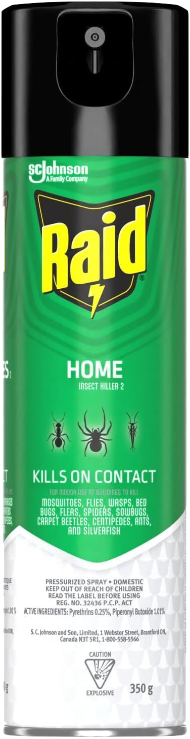 Raid Home Insect Killer Pressurized Spray 350g – Viking Wholesales