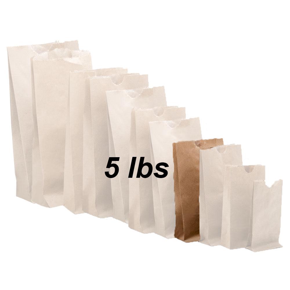 5Lb Brown Paper Bag 500/PK