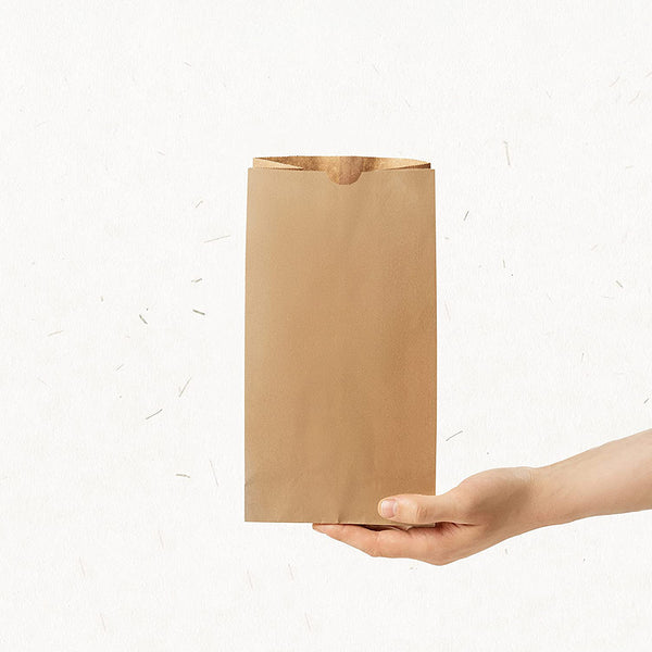 6lb Brown Paper Bags 500/PK