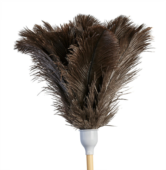 M2 Ostrich Feather Duster